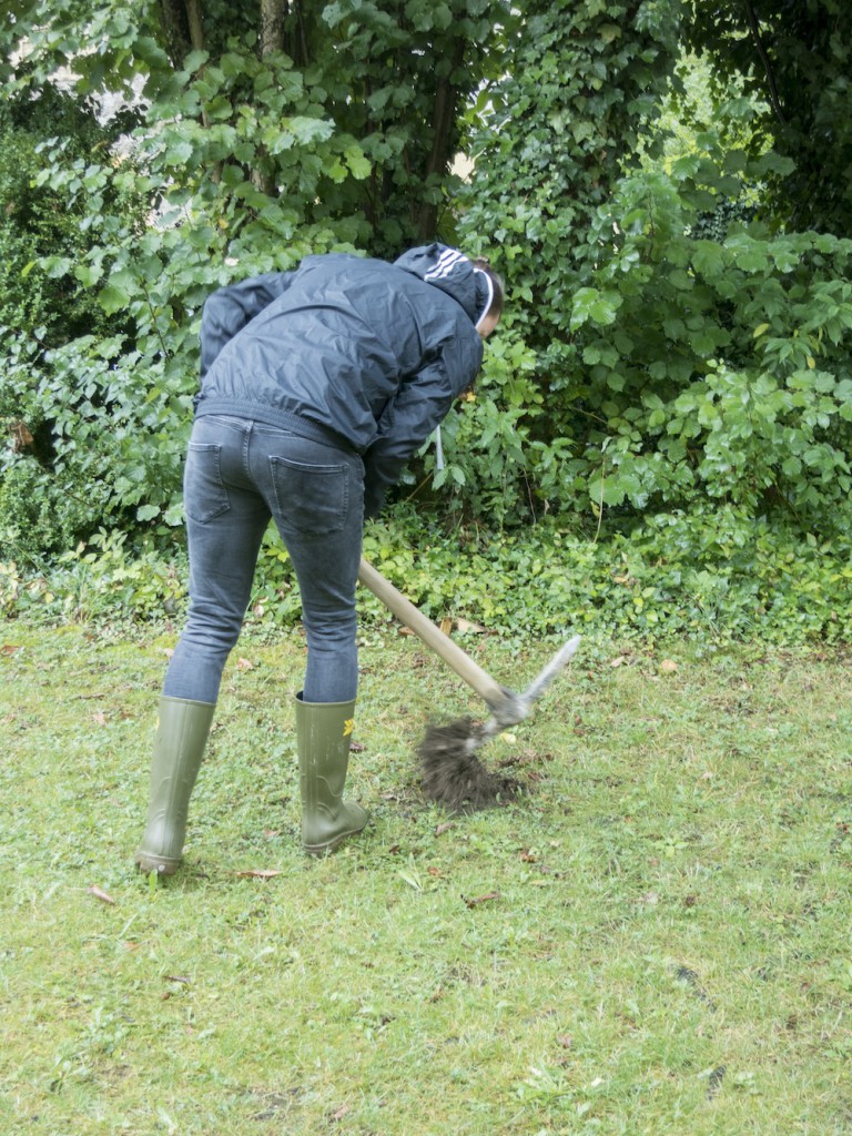 Les Weekends du ROY / Romainmôtier