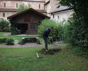 Les Weekends du ROY / Romainmôtier