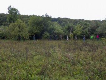 Les Weekends du ROY / Romainmôtier